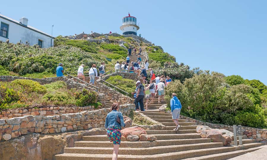Cape Town: CAPE OF GOOD HOPE AND PENGUINS PRIVATE FULL DAY. - Cape of Good Hope Nature Reserve and Cape Point lighthouse views