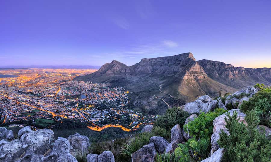 Cape Town: CAPE OF GOOD HOPE AND PENGUINS PRIVATE FULL DAY. - Simon’s Town, Boulders Beach penguins, and the best animal stop
