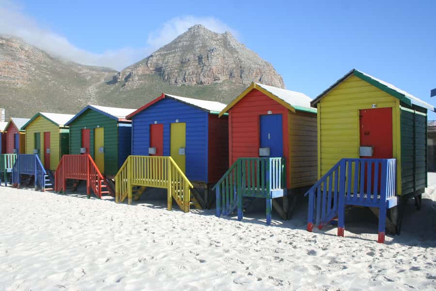 Cape Town: Cape of Good Hope & Boulders Beach Group Tour - Chapmans Peak Drive: the paid scenic road piece that saves hassle