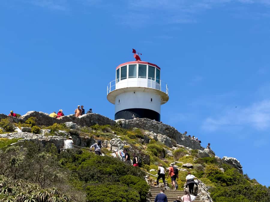 Cape Town: Cape of Good Hope & Penguin Colony Entry Ticket - Should you book the Cape of Good Hope plus Boulders Penguin Colony ticket?