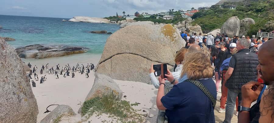 Cape Town: Cape of Good Hope, Penguins and Sightseeing Tour - Key things to know before you go