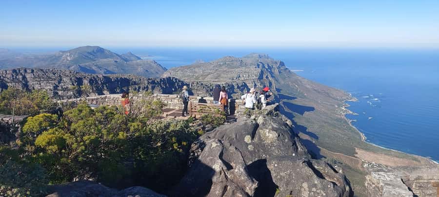 Cape Town: Cape of Good Hope, Penguins and Sightseeing Tour - Chapman’s Peak Drive, where the photo stops feel justified