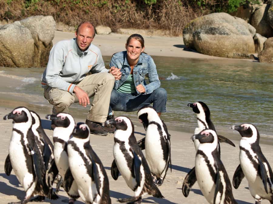 Cape Town: Cape of Good Hope & Penguins Day Tour with Pickup - Key things to know before you go