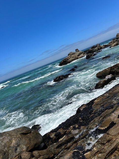 Cape Town: Cape of Good Hope & Penguins Full-Day Guided Tour - Hout Bay Harbour, Optional Seal Island, and Local Market Time