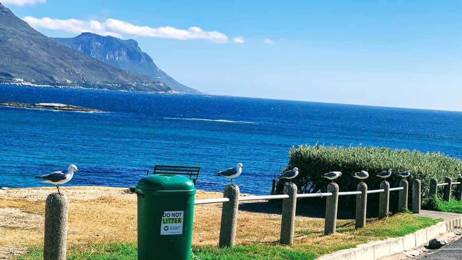 Cape Town: Cape of Good Hope & Penguins Full-Day Guided Tour - Pickup, Minibus Comfort, and Why the Timing Works