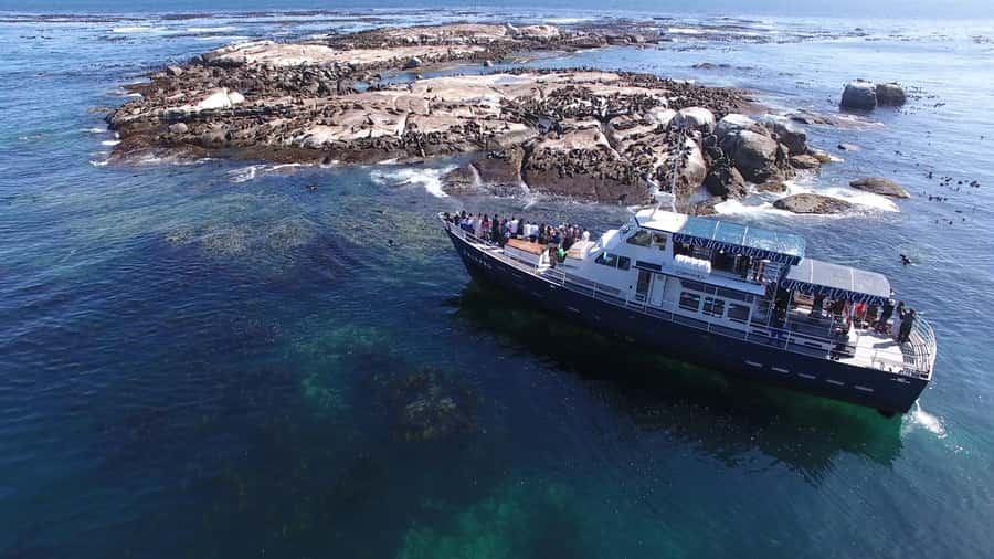 Cape Town: Cape of Good Hope, Seals and Penguins Day Tour - Price and Logistics: How to Budget the Real Cost