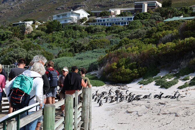 Cape Town: Cape of Good Hope, Table Mountain & Wine Tasting Tour - Table Mountain cable car: the main event with weather as the wildcard