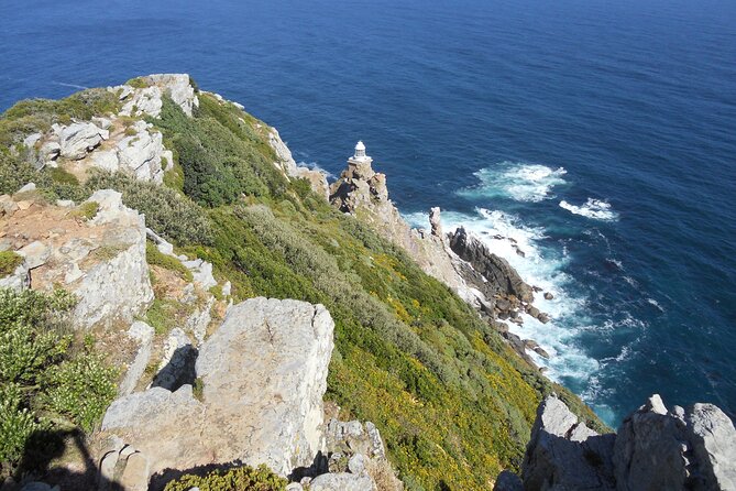 Cape Town: Cape Peninsula Half Day Private Tour - Boulders Beach Penguin Colony: How to See Them Close Without Getting in Their Space