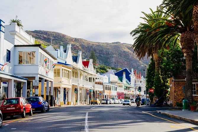 Cape Town: Cape Peninsula Half Day Private Tour - Wildlife Expectations: Zebra, Eland, Bontebok, and Realistic Timing