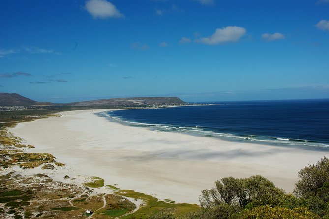 Cape Town: Cape Peninsula Half Day Private Tour - Pickup, Coastal Stops, and Why the Morning Route Works