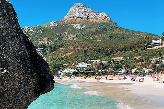Cape Town: Cape Peninsula Private Tour Full Day - Boulders Beach Penguin Colony: 1 hour with real up-close magic
