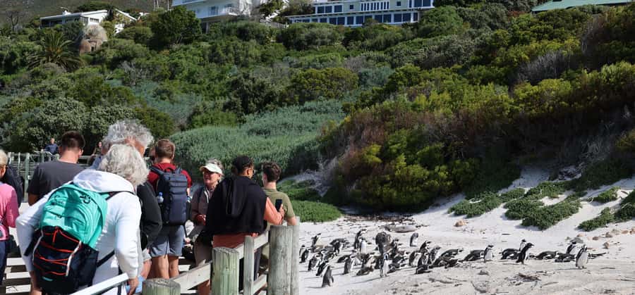 Cape Town: Cape Peninsula & Table Mountain Private Day Trip - Table Mountain cable car, Robben Island views, and time to look