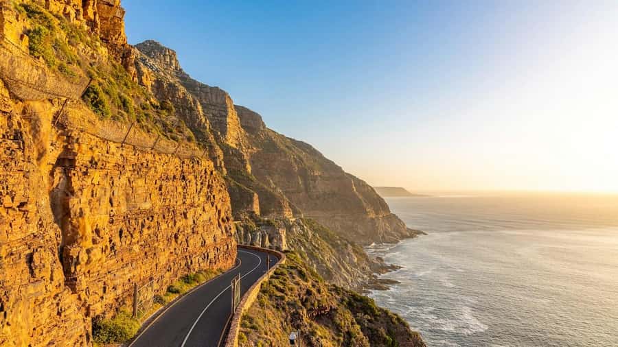 Cape Town: Cape Point and Penguin Colony Full Day Tour - Key Points to Know Before You Go