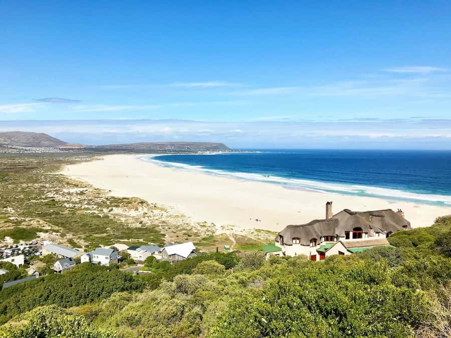 Cape Town: Cape Point and Penguin Colony Full Day Tour - Hout Bay and the Seal Island option: fishing village vibes with sea lions