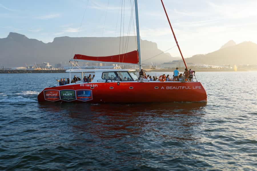 Cape Town: Catamaran Champagne Sunset Cruise - The Champagne Service and What You Can Add On