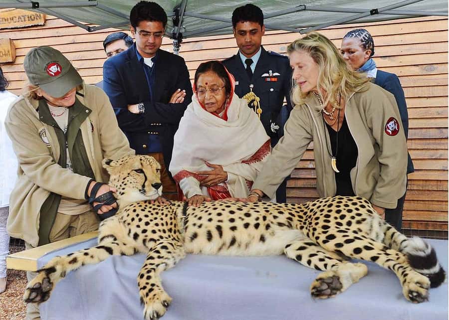 Cape Town: CHEETAH ENCOUNTER/WINE TESTING EXPERIENCE/LUNCH - Ernie Els Winery: panoramic views plus a comfortable tasting setup
