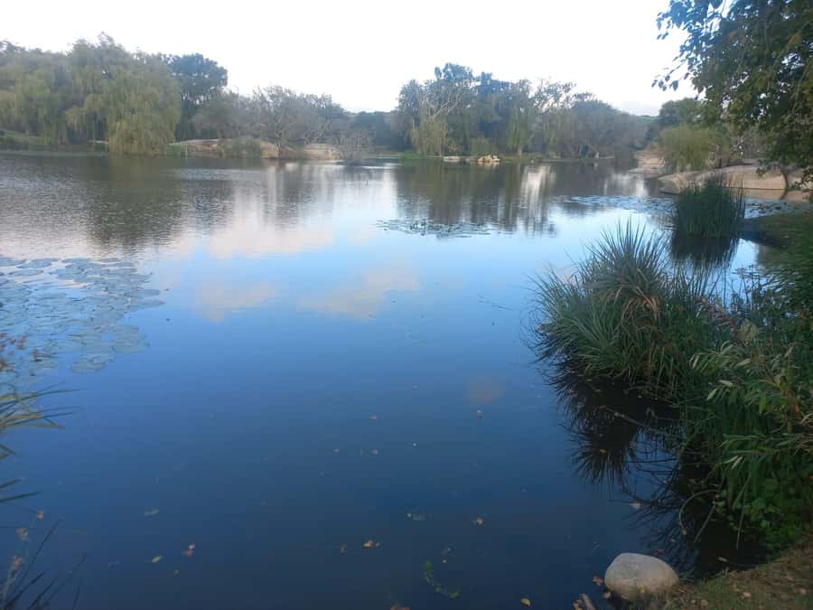 Cape Town: Cheetah Outreach and Winelands Day Tour - Cape Winelands time: winery grounds, guided tastings, and time to browse
