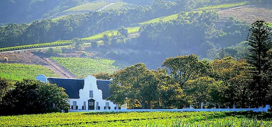 Cape Town: Cheetah Outreach and Winelands Day Tour - The Cape Town City Centre wrap-up: a second guided view