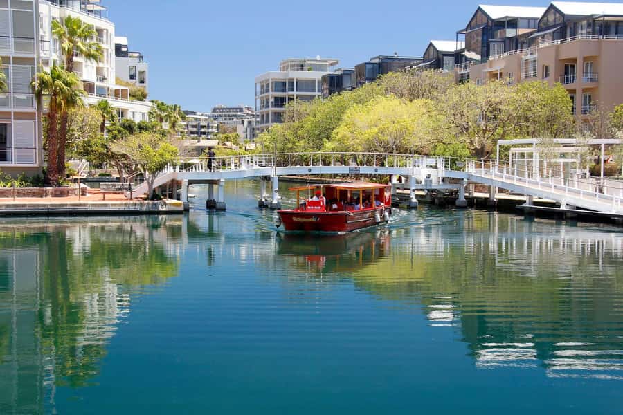 Cape Town: City Explorer Pass with Classic Bus Ticket - Timing Tips That Keep the Day From Getting Messy