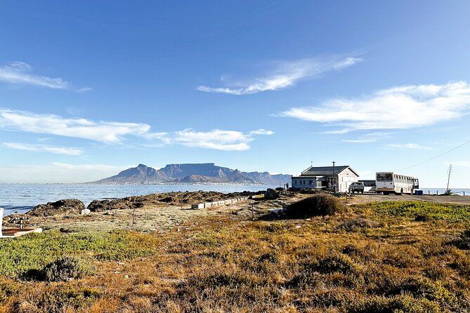 Cape Town City Highlights & Table Mountain Tour - Weather and cancellations: how to reduce the risk of a wasted day