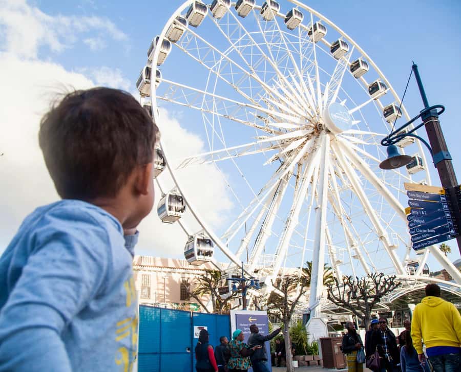 Cape Town City Pass: Save Over 50% on 80+ Top Attractions - Cape Point, aquariums, and wildlife stops outside the center