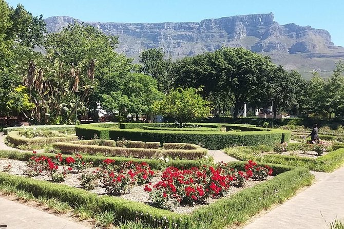 Cape Town City Tour Camps Bay Beach Plus Table Mountain Ticket - Signal Hill Viewpoints and Paragliding Watching