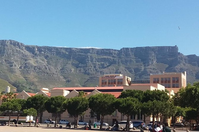 Cape Town City Tour Camps Bay Beach Plus Table Mountain Ticket - The Company’s Garden: Heritage Green Space Plus Monuments