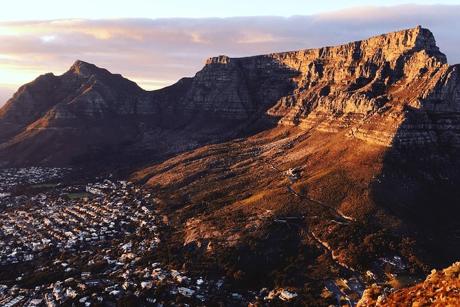 Cape Town City Tour Half-Day - Company’s Gardens: a calm start with a museum angle
