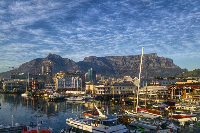 Cape Town City Tour Half-Day - Iziko South African Museum and Planetarium: worth it if you love context