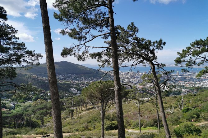 Cape Town City Tour including Lion's head with Wi-Fi on board. - Camps Bay: Sea Air, Promenade Vibes, and a Coastal Finish