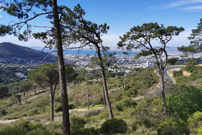 Cape Town City Tour including Lion's head with Wi-Fi on board. - Price and Value: When $71.20 Actually Feels Like a Deal