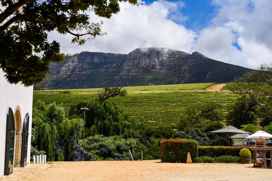 Cape Town: Constantia Half-Day Wine Tour & Tastings - Key highlights worth getting excited about