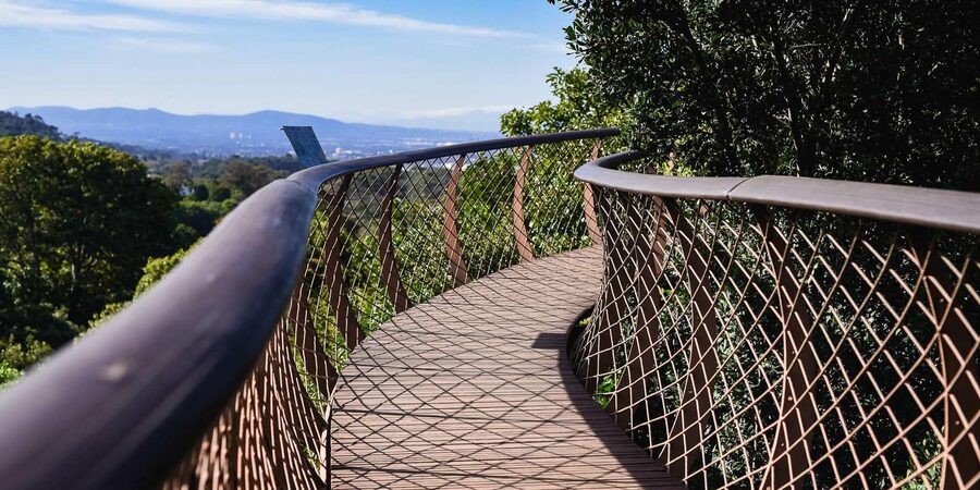 Cape Town: Constantia Half-Day Wine Tour & Tastings - Views, pacing, and group energy