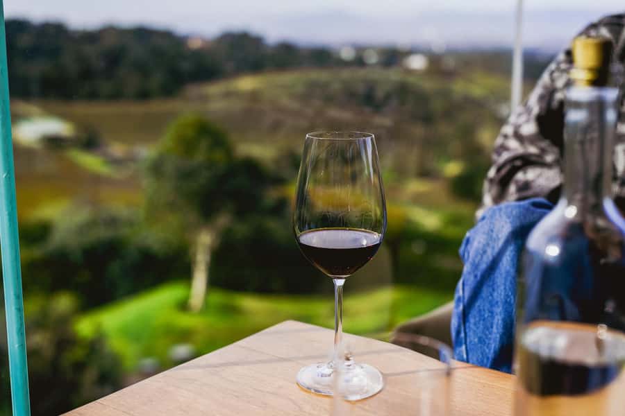Cape Town: Constantia Half-Day Wine Tour & Tastings - Getting picked up, then easing into the valley