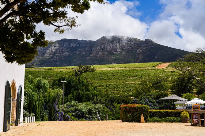 Cape Town: Constantia Wine Route Tour - From Cape Town to Franschhoek: What the Day Feels Like