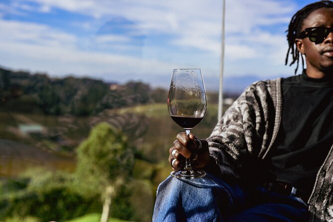 Cape Town: Constantia Wine Route Tour - Who This Tour Is Best For