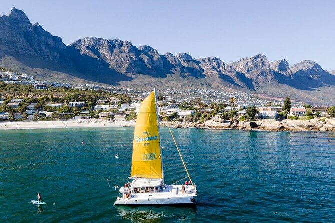Cape Town Cruises - The Gin Voyage - What Happens During the Hour, and Where You Get the Best Views