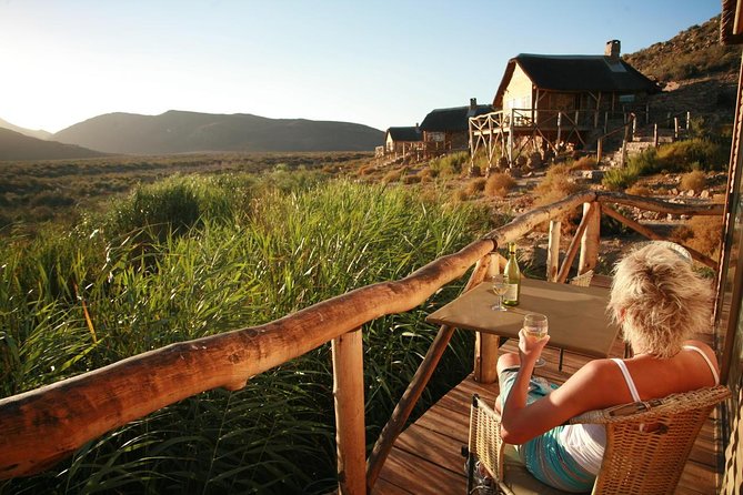 Cape Town Day Safari - Time, Transport, and Group Size: What It Feels Like on the Ground
