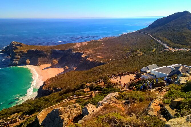 Cape Town Day Tours - Boulders Beach Penguin Colony: Close Up Without the Guesswork