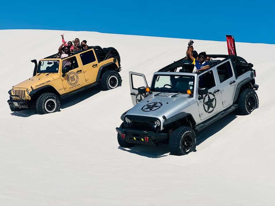 Cape Town Desert Thrills: Dune Jeep Venture - Forty minutes in the Jeep: what dune bashing feels like