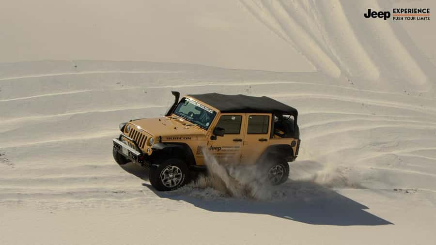 Cape Town Dessert Thrill: 4x4 Dune Venture - Quick practical tips to make your ride smoother
