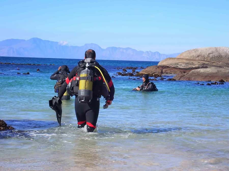 Cape Town: Discover Scuba Diving - 1 day experience - Key things to know before you go