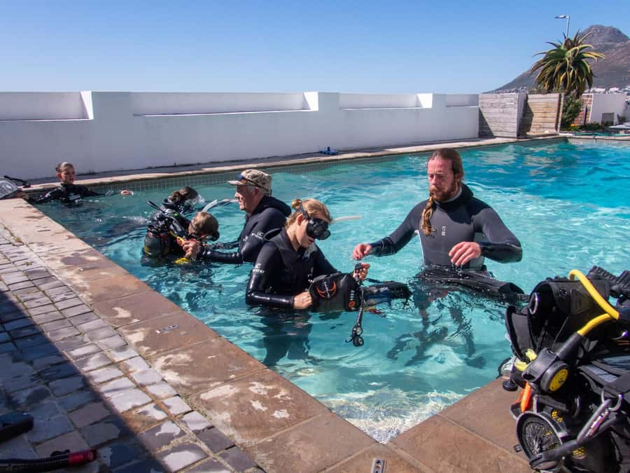 Cape Town: Discover Scuba Diving - 1 day experience - From Cape Town to Simon’s Town: where your first try-scuba happens
