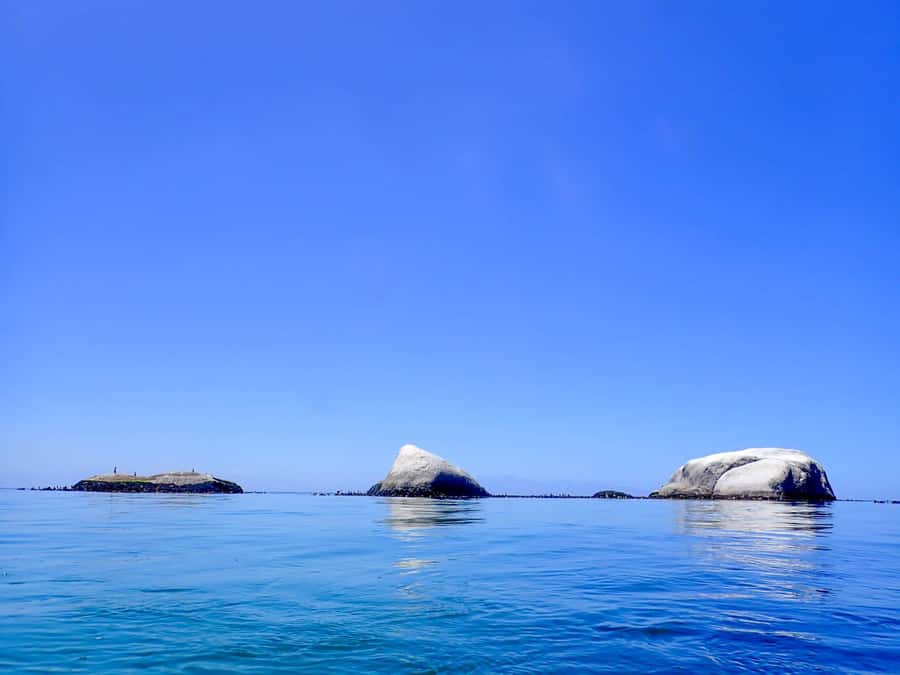 Cape Town: Discover Scuba Diving - 1 day experience - Safety-first coaching that keeps your head in the game