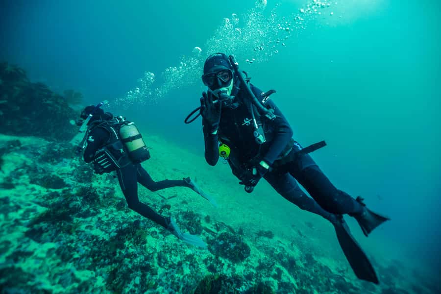 Cape Town: Discover Scuba Diving - 1 day experience - Gear setup and comfort: the part you should take your time with
