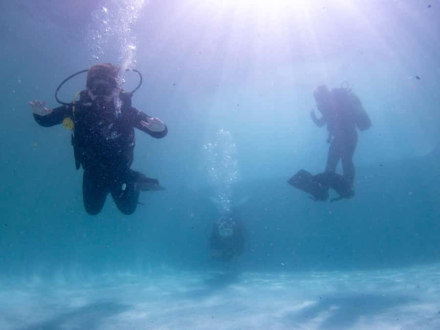 Cape Town: Discover Scuba Diving - 1 day experience - Long Beach training waters and the “Great African Sea Forests”