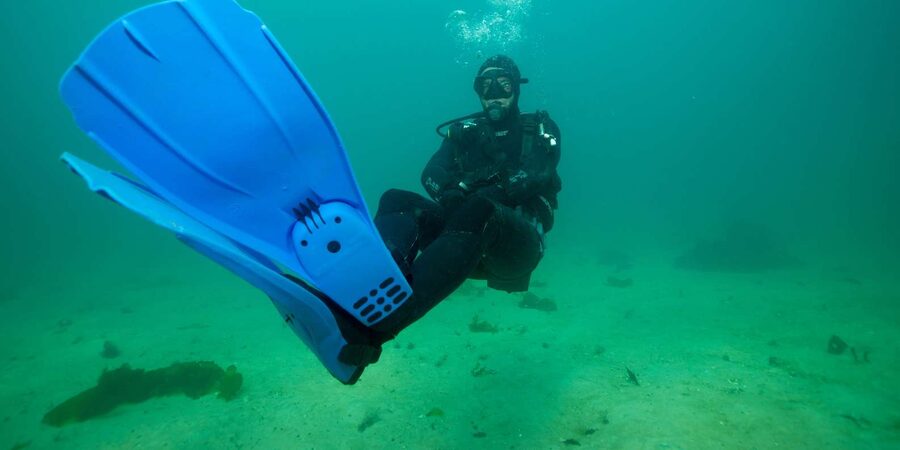 Cape Town: Discover Scuba Diving - 1 day experience - Price and value: is $155 fair for a beginner scuba intro?