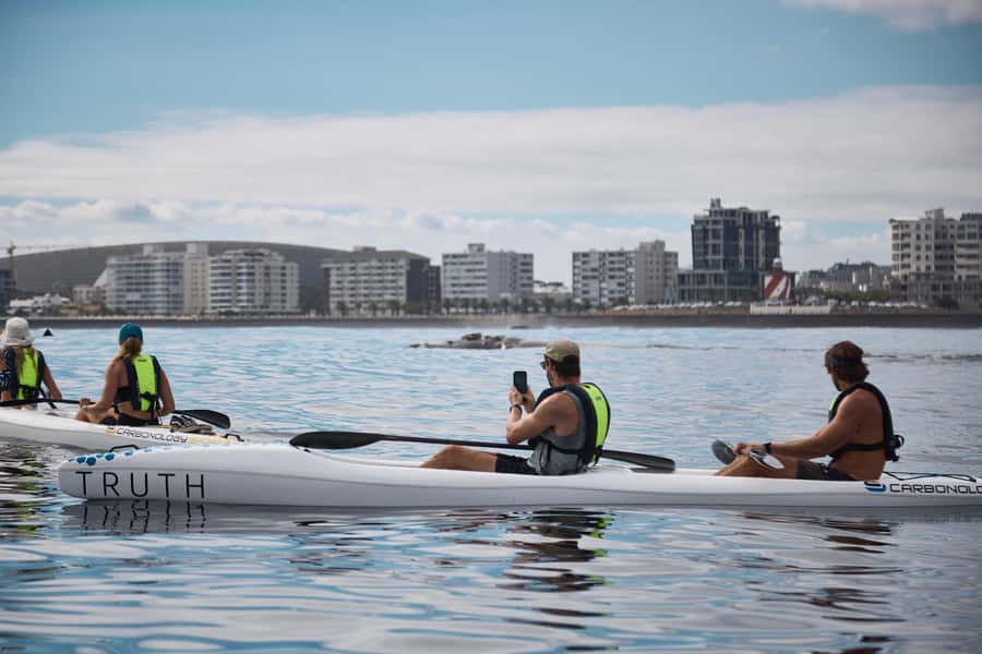 Cape Town: Dolphin & Ocean Wildlife Kayaking Adventure ⚓️ - Price and Value: What $37 Gets You in Cape Town