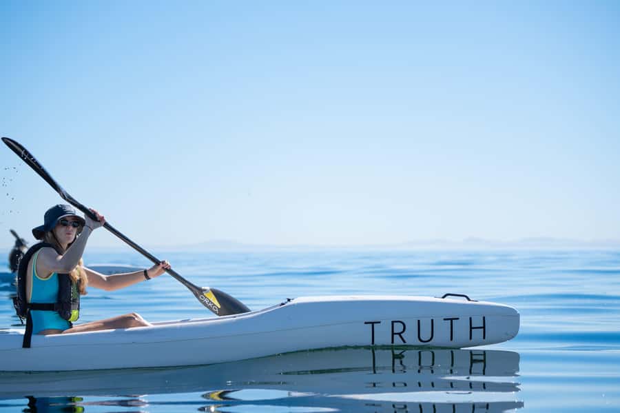 Cape Town: Dolphin & Ocean Wildlife Kayaking Adventure ⚓️ - Where You Launch and What You See Right Away