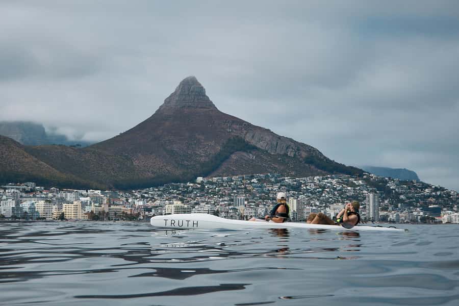 Cape Town: Dolphin & Ocean Wildlife Kayaking Adventure ⚓️ - The Wildlife Game: Dolphins, Penguins, Seals, and More